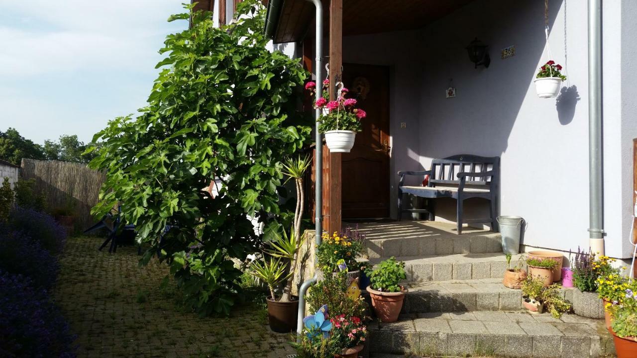 Urlaub Im Elsass Apartment Artolsheim Екстериор снимка