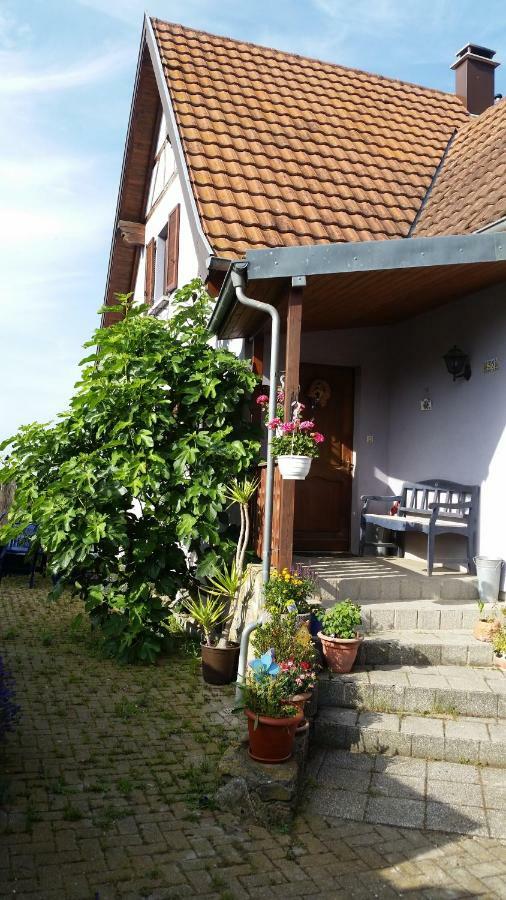 Urlaub Im Elsass Apartment Artolsheim Екстериор снимка